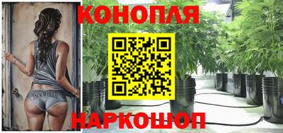 прущие грибы Северобайкальск