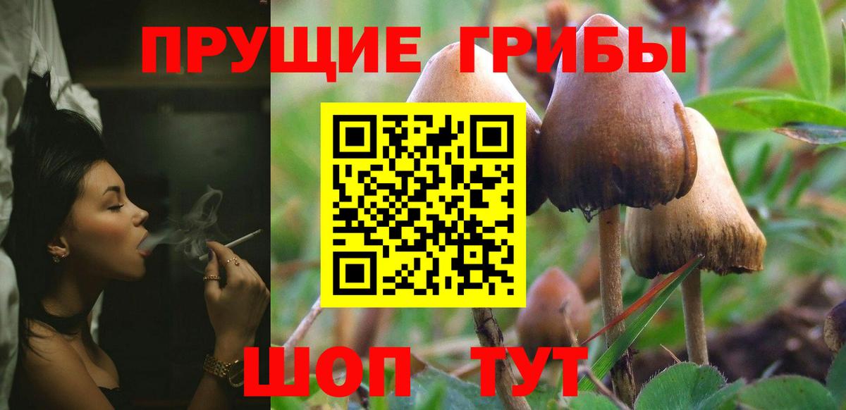 Галлюциногенные грибы Cubensis Первоуральск